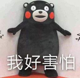 潮汕热门吃瓜事件盘点,揭秘当地美食文化背后的趣味故事