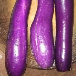 甲亢可以吃茄瓜吗,茄瓜可否食用？