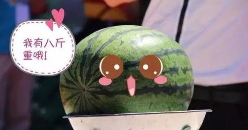 宝藏行吃瓜,揭秘吃瓜背后的娱乐江湖