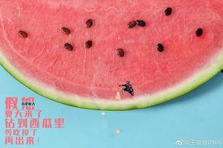 在哪里吃瓜最全面,全球各地吃瓜圣地大盘点