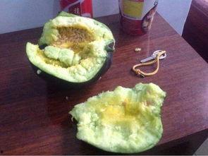 吃瓤瓜胖吗,吃瓤瓜真的会胖吗？