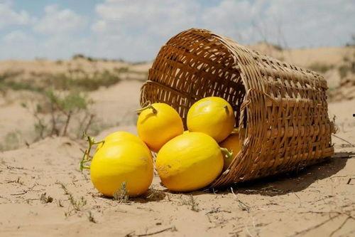 美团吃瓜视频,揭秘美食背后的故事与趣味