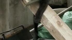 告白战队吃瓜,揭秘吃瓜背后的真相与情感纠葛