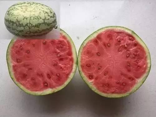 吃瓜搜索法,吃瓜搜索法带你领略明星幕后故事