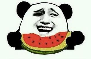 好久不见吃瓜,那些年我们错过的娱乐圈风云