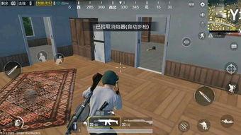 宗门集体吃瓜,集体吃瓜背后的神秘故事