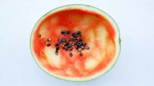 吃瓜勺子木柄怎么用,解锁夏日清凉新姿势