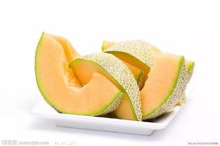 帐篷吃哈密瓜,夏日野趣体验记