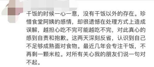 吃瓜道歉模板,还原事件真相，共同维护网络和谐