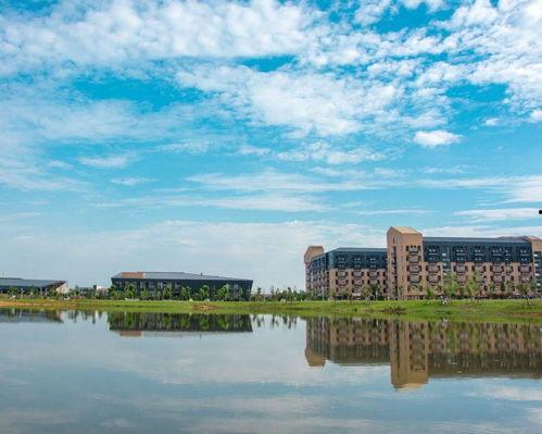 武汉晴川学院吃瓜,揭秘校园热点事件