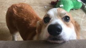 日常vlog马上吃瓜,揭秘“马上吃瓜”背后的新鲜趣事